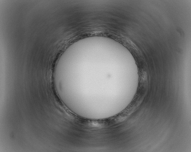 X0000112050565200908040952