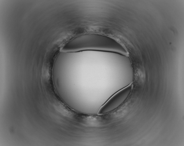 X0000112050566200908040952