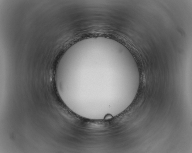 X0000112050567200908040952