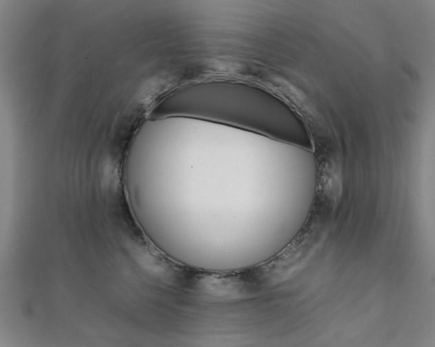 X0000112050568200908040952