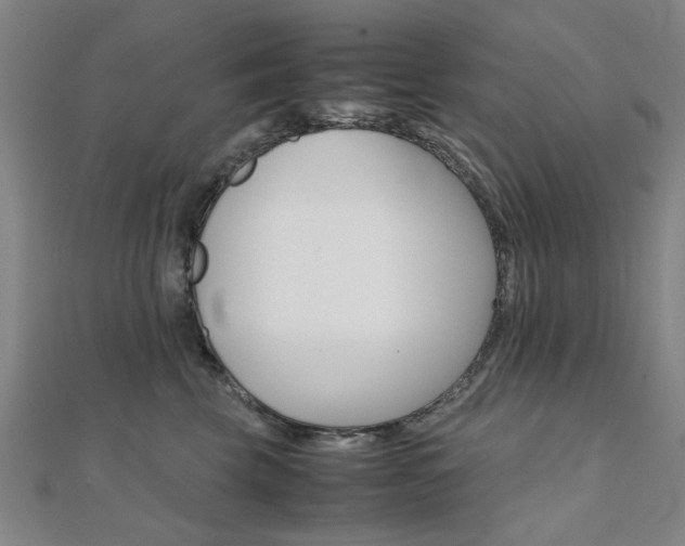 X0000112050569200908040952