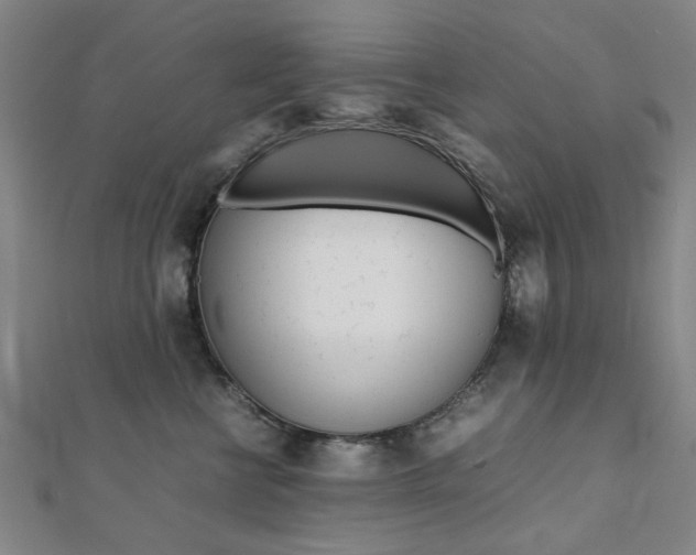 X0000112050570200908040952