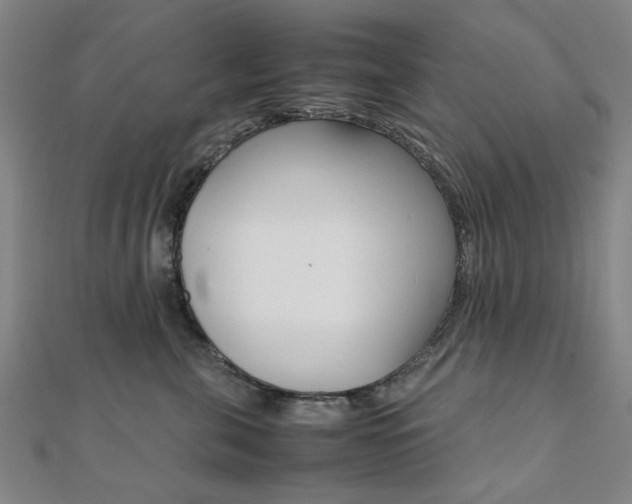 X0000112050571200908040952