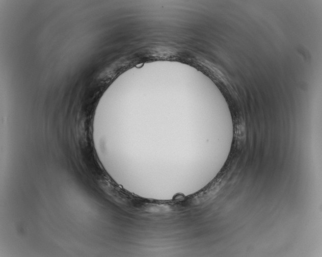 X0000112050572200908040952