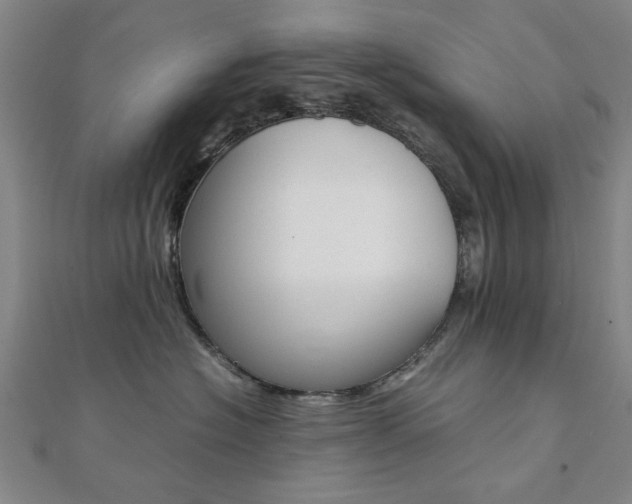 X0000112050574200908040952