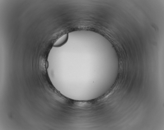 X0000112050575200908040952