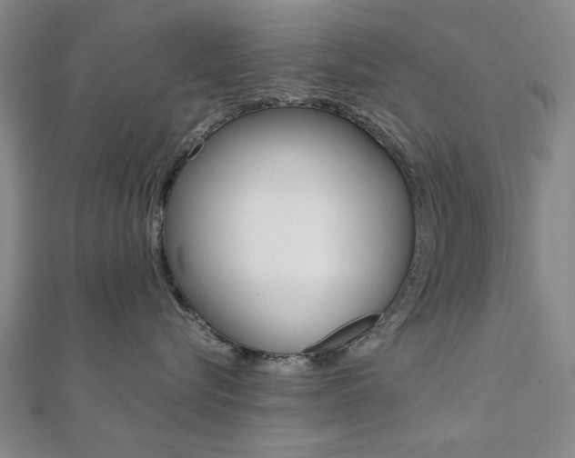 X0000112050576200908040952