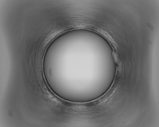 X0000112050577200908040952