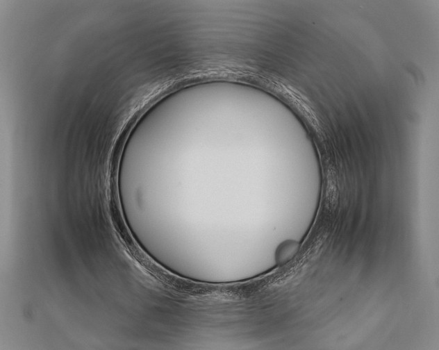 X0000112050578200908040952
