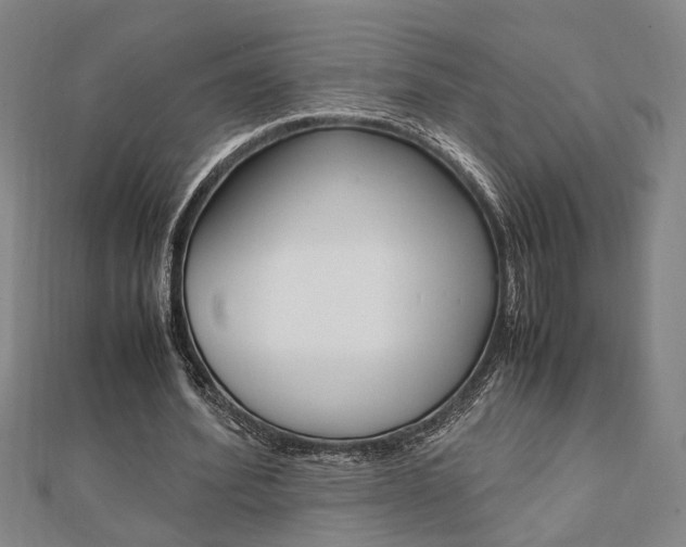 X0000112050580200908040952