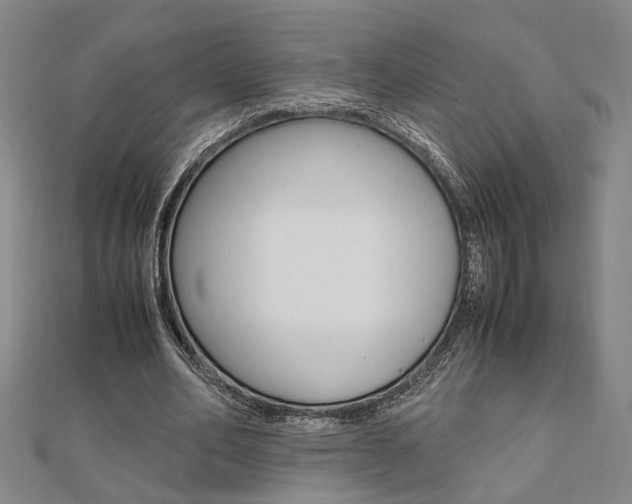 X0000112050582200908040952
