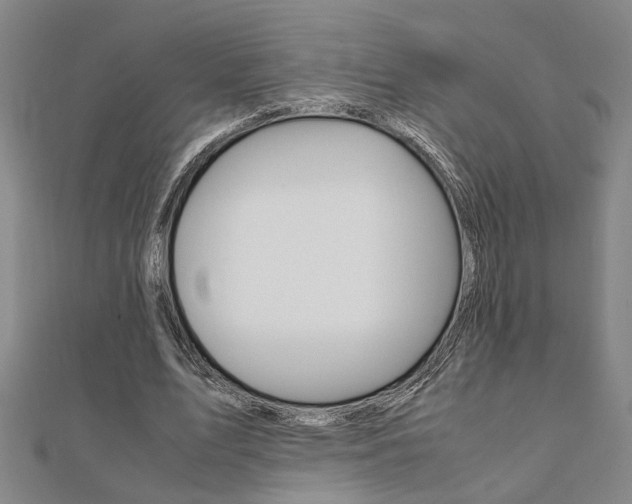 X0000112050583200908040952