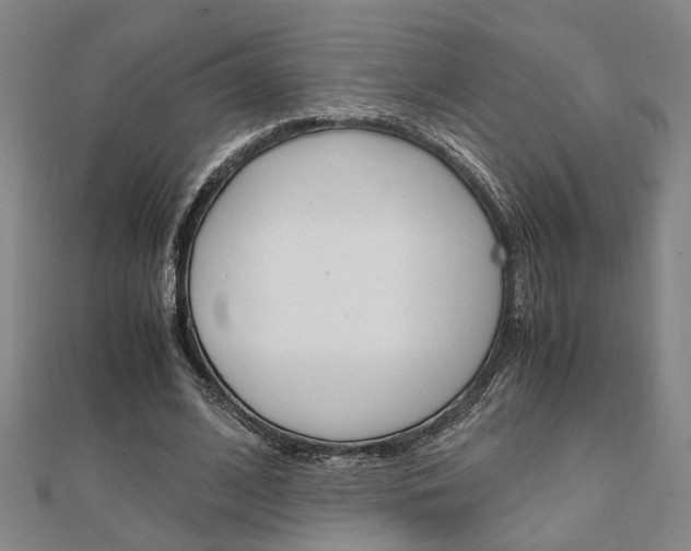 X0000112050584200908040952