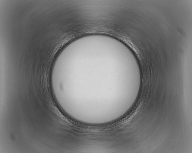 X0000112050585200908040952