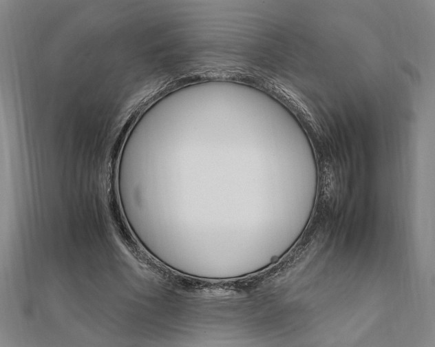 X0000112050586200908040952
