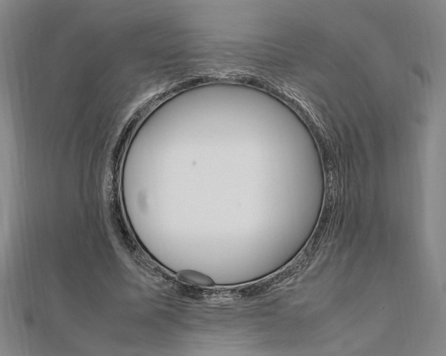 X0000112050587200908040952