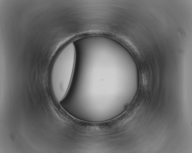 X0000112050588200908040952