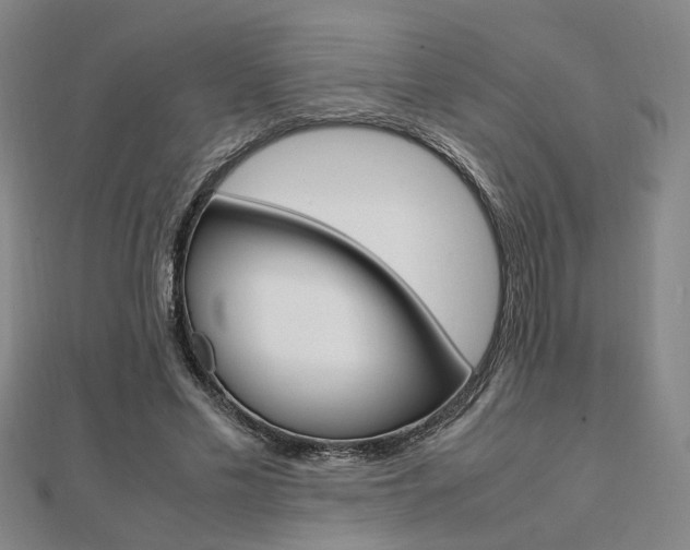 X0000112050589200908040952