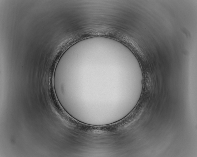 X0000112050590200908040952