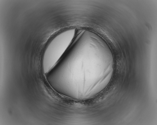 X0000112050592200908040952