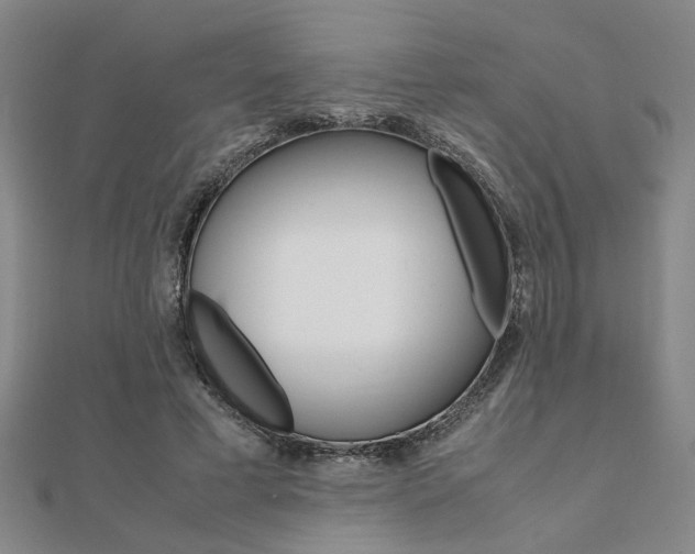 X0000112050593200908040952