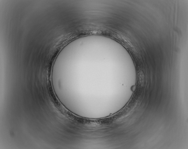 X0000112050594200908040952