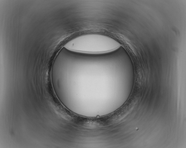 X0000112050596200908040952