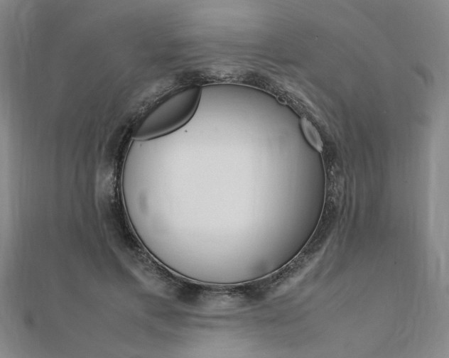 X0000112050597200908040952