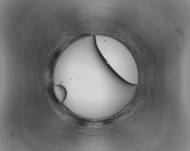 X0000112050599200908040951