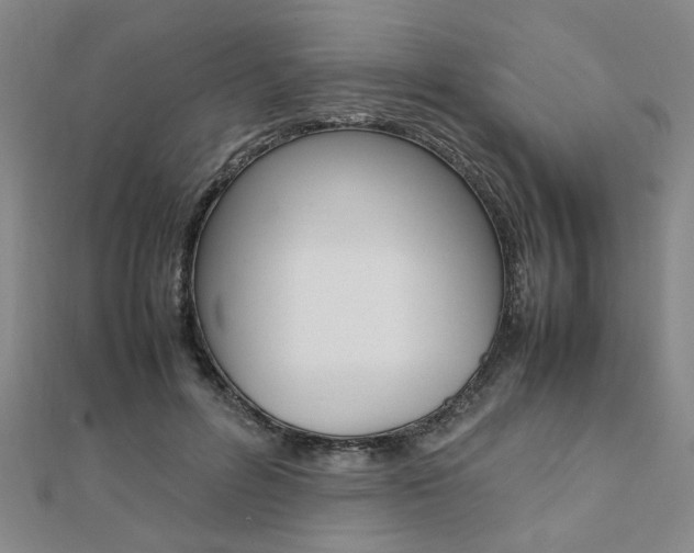 X0000112050600200908040951