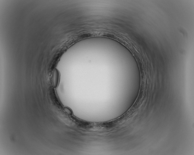 X0000112050601200908040951