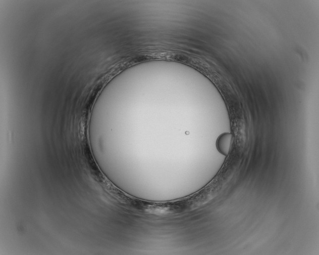 X0000112050602200908040951