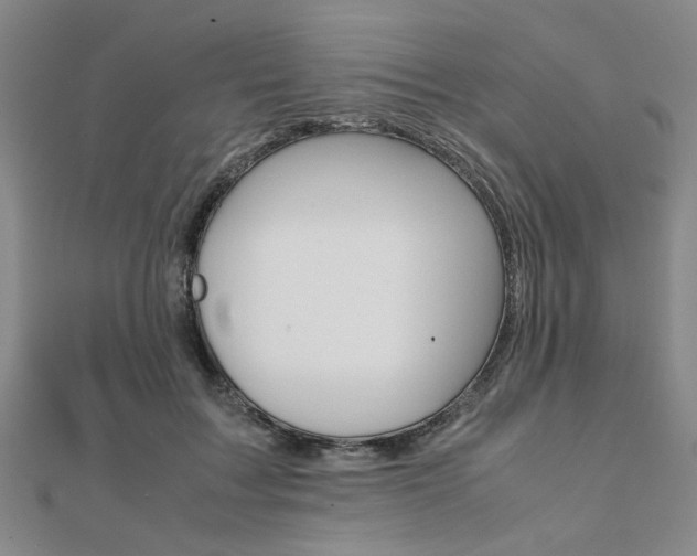 X0000112050603200908040951