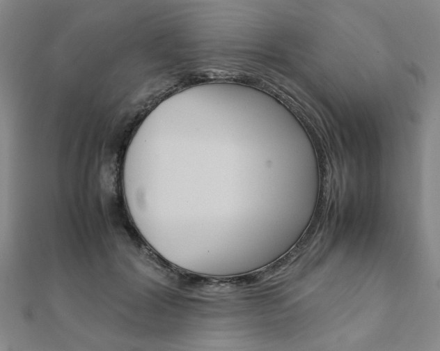 X0000112050604200908040951