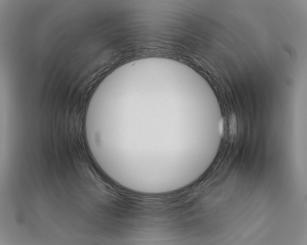 X0000112050606200908040951