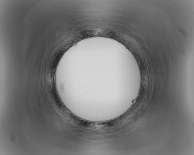 X0000112050607200908040951