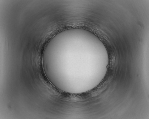 X0000112050608200908040951