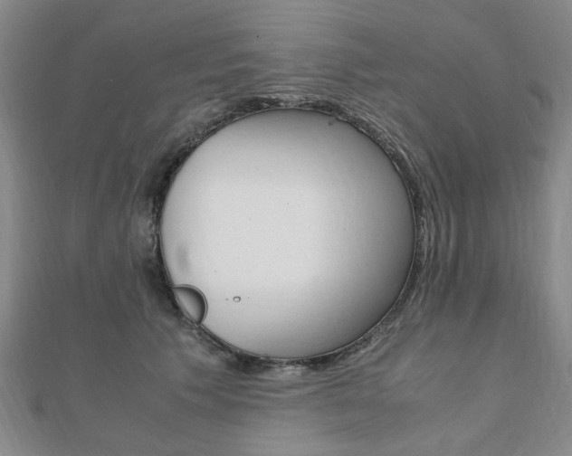 X0000112050609200908040951