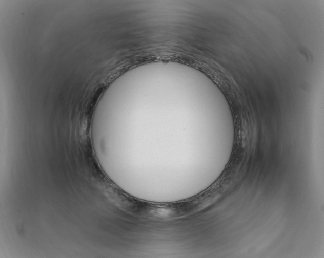 X0000112050610200908040951