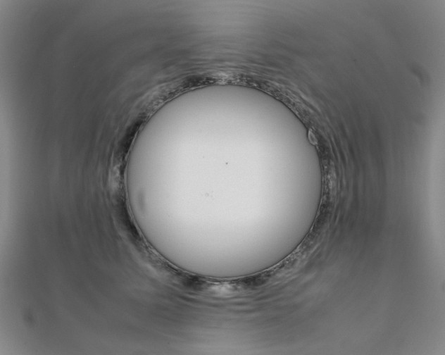 X0000112050611200908040951