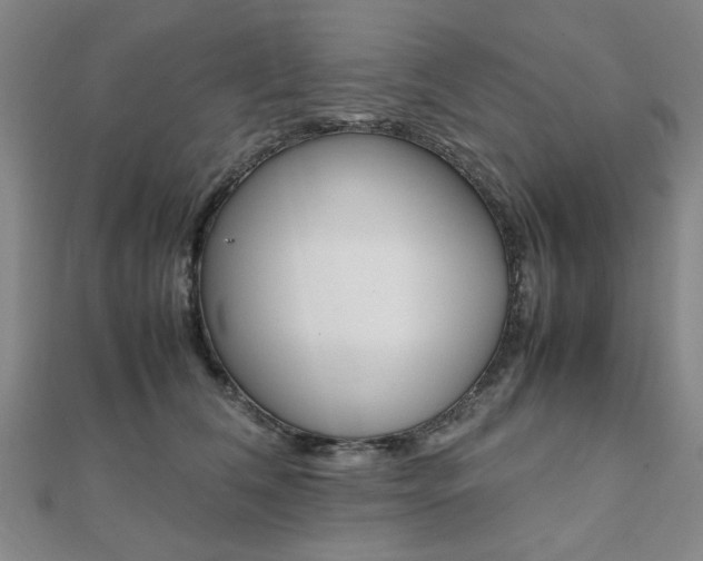 X0000112050612200908040951