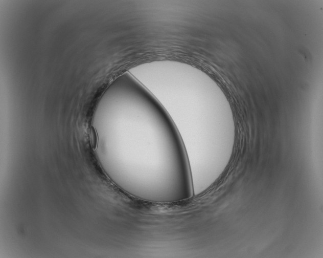 X0000112050613200908040951