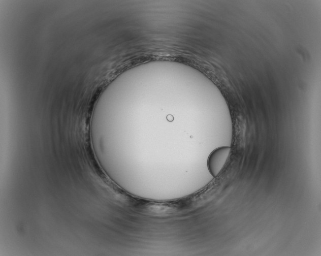 X0000112050614200908040951