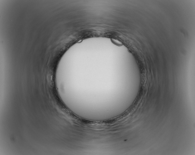 X0000112050615200908040951