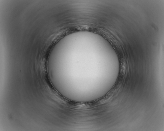 X0000112050616200908040951