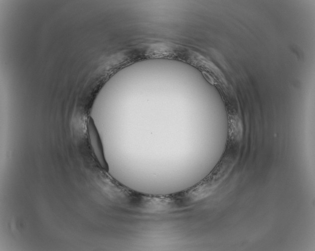 X0000112050621200908040951