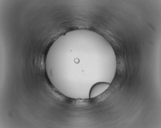 X0000112050622200908040951
