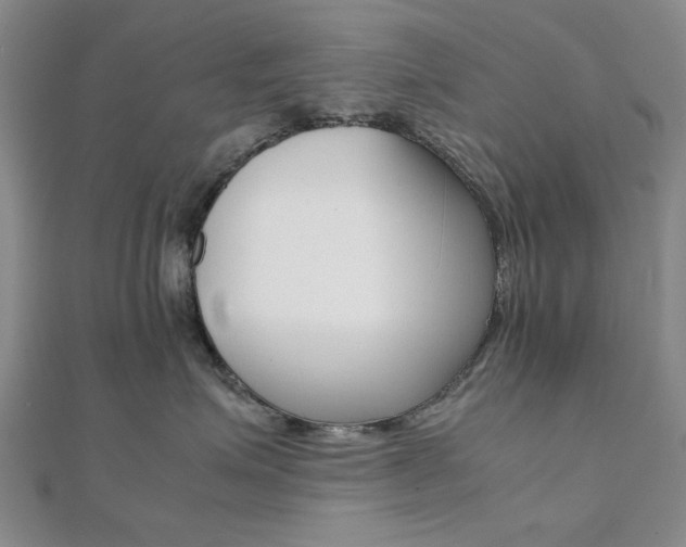 X0000112050623200908040951