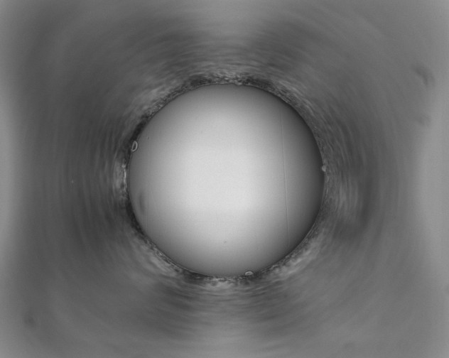 X0000112050624200908040951