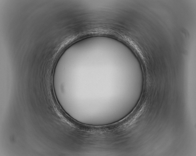 X0000112050625200908040950